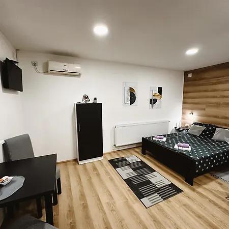 Ferienwohnung S. A. L. 2 Zrenjanin Exterior foto